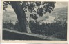 AK Vlotho a. d. Weser Blick vom Amthausberg 1910