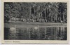 AK Foto Altenhof (Schorfheide) Werbellinsee Badestrand mit Schwänen 1942