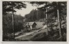 VERKAUFT !!!   AK Foto Dittersdorf (Saalfelder Höhe) Waldpartie im Oberen Werretal b. Schwarzburg Bad Blankenburg 1956