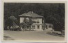 AK Foto Netzkater im Harz b. Harztor Ilfeld 1956