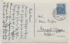 AK Foto Netzkater im Harz b. Harztor Ilfeld 1956