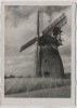 AK Foto Echte Schneider Photokarte Aufnahme R. Hallensleben Windmühle 1940