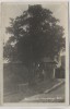 AK Foto Krombach 2000-jährige Eibe Mann vor Haus Krompach b. Liberec Reichenberg Sudeten Tschechien 1943