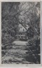 AK Bad Sachsa Haus Sonnenschein 1935