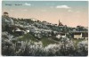 AK Leisnig Sachsen Baumblüte Bahnpoststempel 1925