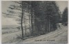 VERKAUFT !!!   AK Partie aus dem Sellingsloh b. Hoyerhagen Hoya 1910