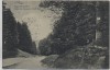 AK Salzdetfurth Partie bei Baxmann's Eiche 1913