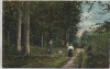 VERKAUFT !!!   AK Syke Partie im Friedeholz Menschen Hund Feldpost 1916
