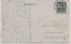 AK Gruss vom Drübberholz Waldpartie b. Hoya Eystrup Dörverden 1911
