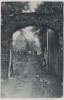 AK Bautzen Feuergasse 1910