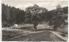 AK Lauscha Thüringen Waldbad im Steinachgrund 1967