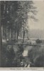 AK Dresden Weisser Hirsch Weg nach Ullersdorf 1910