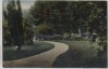 VERKAUFT !!!   AK Oschatz Stadtpark 1919