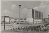 VERKAUFT !!!   AK Foto Hoyerswerda Neustadt Siegried-Widera-Straße im Wohnkomplex 8 1975