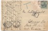 VERKAUFT !!!   AK Darmstadt Botanischer Garten Nadelholzgruppe 1911