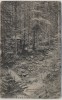 AK Freudenstadt Teuchelweg mit Hütte 1905