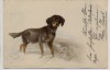 Künstler-AK Litho Dackel Dachshund 1910