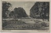 VERKAUFT !!!   AK Bonn am Rhein Poppelsdorfer Allee 1930