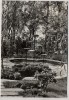 AK Foto Reudnitz Haus der Landeskirchlichen Gemeinschaft Springbrunnen b. Mohlsdorf-Teichwolframsdorf 1978