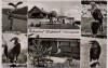 AK Foto Mehrbild Falkenhof Walddorf Roter Milan Wanderfalke ... b. Nagold Altensteig Schwarzwald 1960