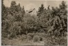 AK Foto Langewiesen in Thüringen Karl Zink Heim 1970
