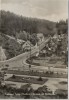 AK Foto Tanne / Oberharz Kurpark mit Waldstraße Oberharz am Brocken 1966