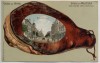 AK Litho Gruss aus Herne Westfalen dem Land der echten Schinken Bahnhofstrasse 1900 RAR