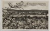 AK Foto Werder (Havel) Blick vom Hotel Bismarckhöhe 1936