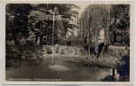AK Foto Gellertstadt Hainichen Goldfischteich im Stadtpark 1940
