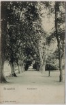 AK Braunfels Lindenallee 1914 RAR