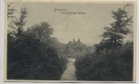 AK Braunfels Waldblick auf das Schloß 1914