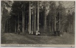 AK Ritter Toggenburg-Platz im Hagen bei Isenhagen Hankensbüttel 1907 RAR