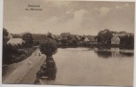 AK Bredstedt Am Mühlenteich Schleswig-Holstein 1910