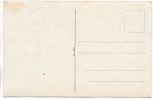 AK Dessau Lustgarten und Schloss 1930
