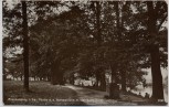AK Foto Frankenberg in Sachsen Partie an der Harraseiche mit Harrasdenkmal 1929 RAR