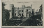 AK Schloß Moisdorf Prittwitz bei Jauer Jawor Schlesien Polen 1920 RAR
