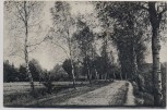 VERKAUFT !!!   AK Hankensbüttel Weg von Emmen nach Wunderbüttel 1907