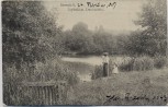 AK Darmstadt Jagdschloss Kranichstein mit Frau Kind und Schwäne 1907