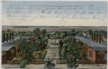 AK Gruss vom Truppenübungsplatz Alten-Grabow Altengrabow 1910