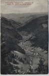 VERKAUFT !!!   AK Feldberg Schwarzwald Blick ins obere Wiesental 1911