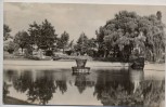 AK Foto Prettin an der Elbe Stadtpark bei Annaburg 1962