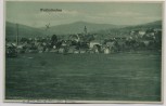AK Waldmünchen Ortsansicht 1920