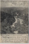 AK Gruss aus der Vogtländischen Schweiz Partie im Steinicht Elstertal Bahngleis b. Pöhl 1901