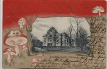 AK Passepartout Gera Fürstliches Theater Fliegenpilze 1905