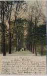 AK Weißenfels an der Saale Bad-Allee Badallee 1901 RAR