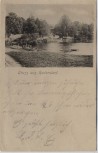 VERKAUFT !!!   AK Gruß aus Bodendorf Ortsansicht mit Teich bei Haldensleben 1902 RAR