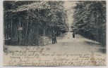 AK Schleswig in Schleswig-Holstein Kolonnenweg mit Menschen 1904