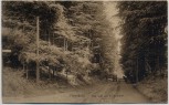 AK Flensburg Weg nach der Kupfermühle 1911 RAR