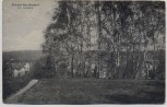 AK Reinbek Neu Wentorf Am Haidberg Villen 1921 RAR