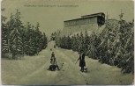 AK Oybin Rodelbahn Hochwald mit Menschen 1910